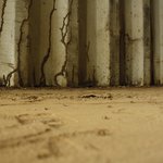 Termites taking home in the bottom of a shipping container